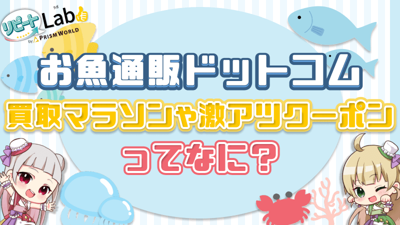 お魚通販ドットコム 買取マラソン 激アツクーポン